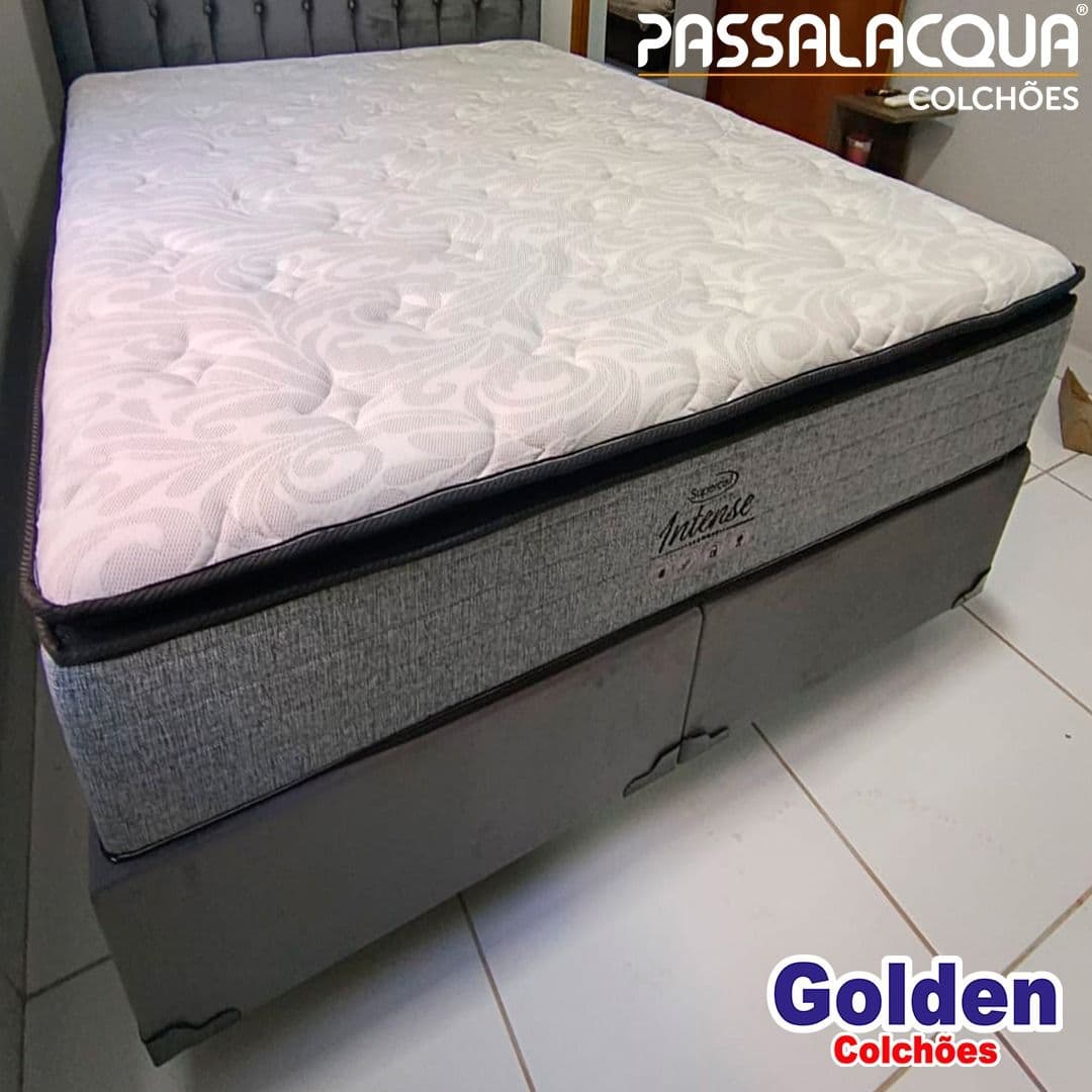 Conjunto Intense Passalacqua 